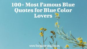 100+ Most Famous Blue Quotes for Blue Color Lovers