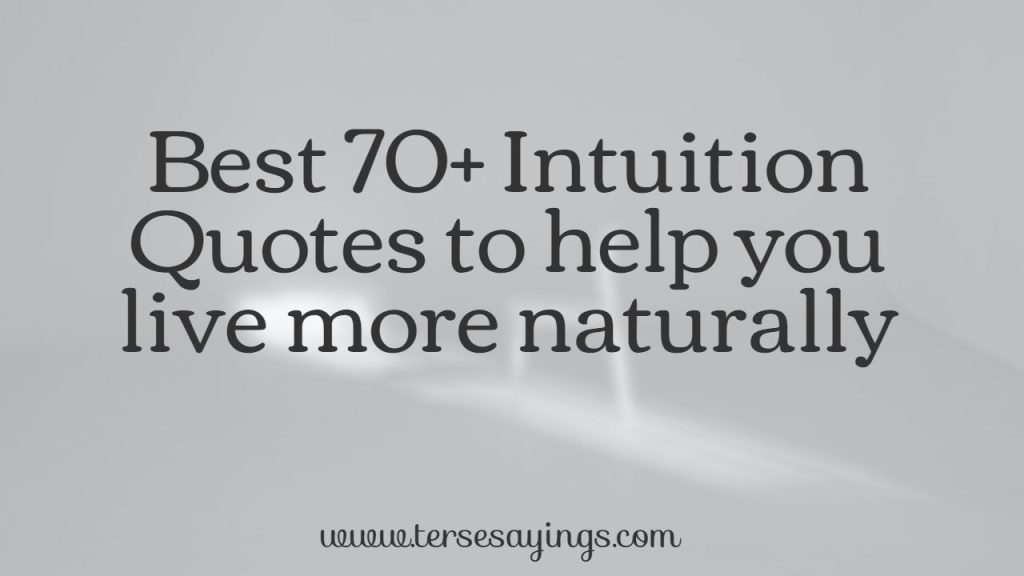 feature_intuition_quotes