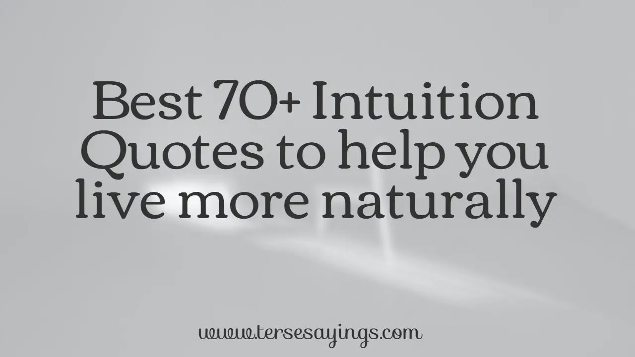 feature_intuition_quotes