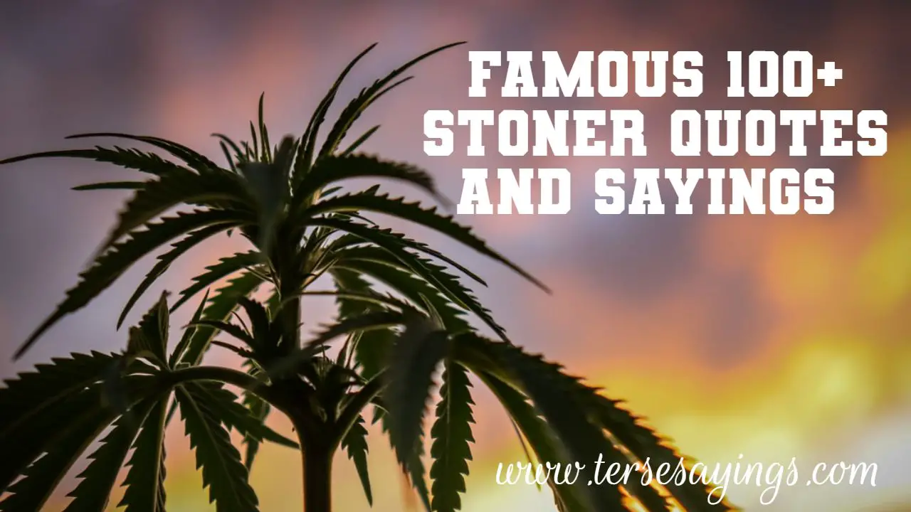 Famous 100+ Stoner Quotes and Sayings Stoner Quotes