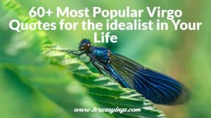 60+ Most Popular Virgo Quotes for the idealist in Your Life