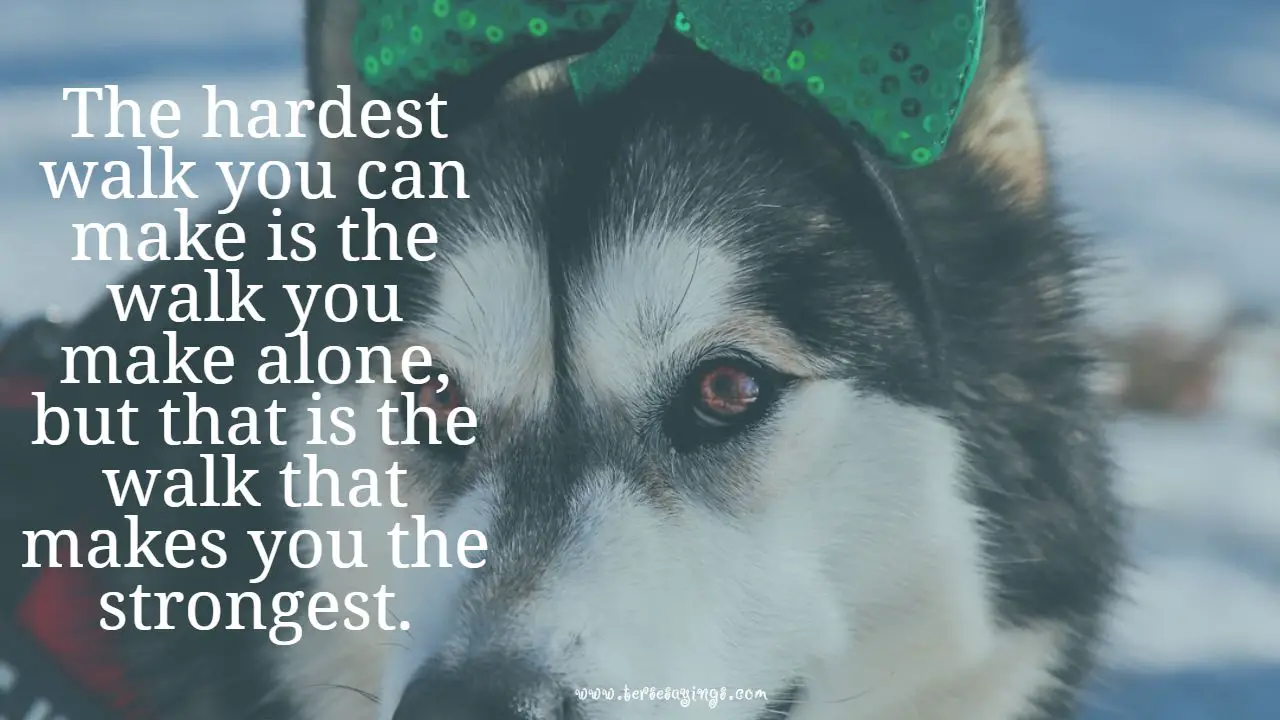 _female_lone_wolf_quotes