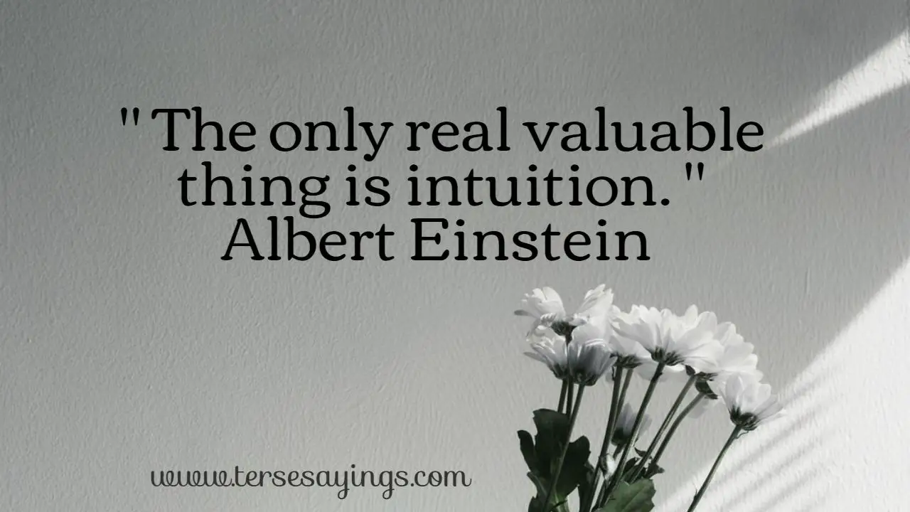 intuition_quotes_funny