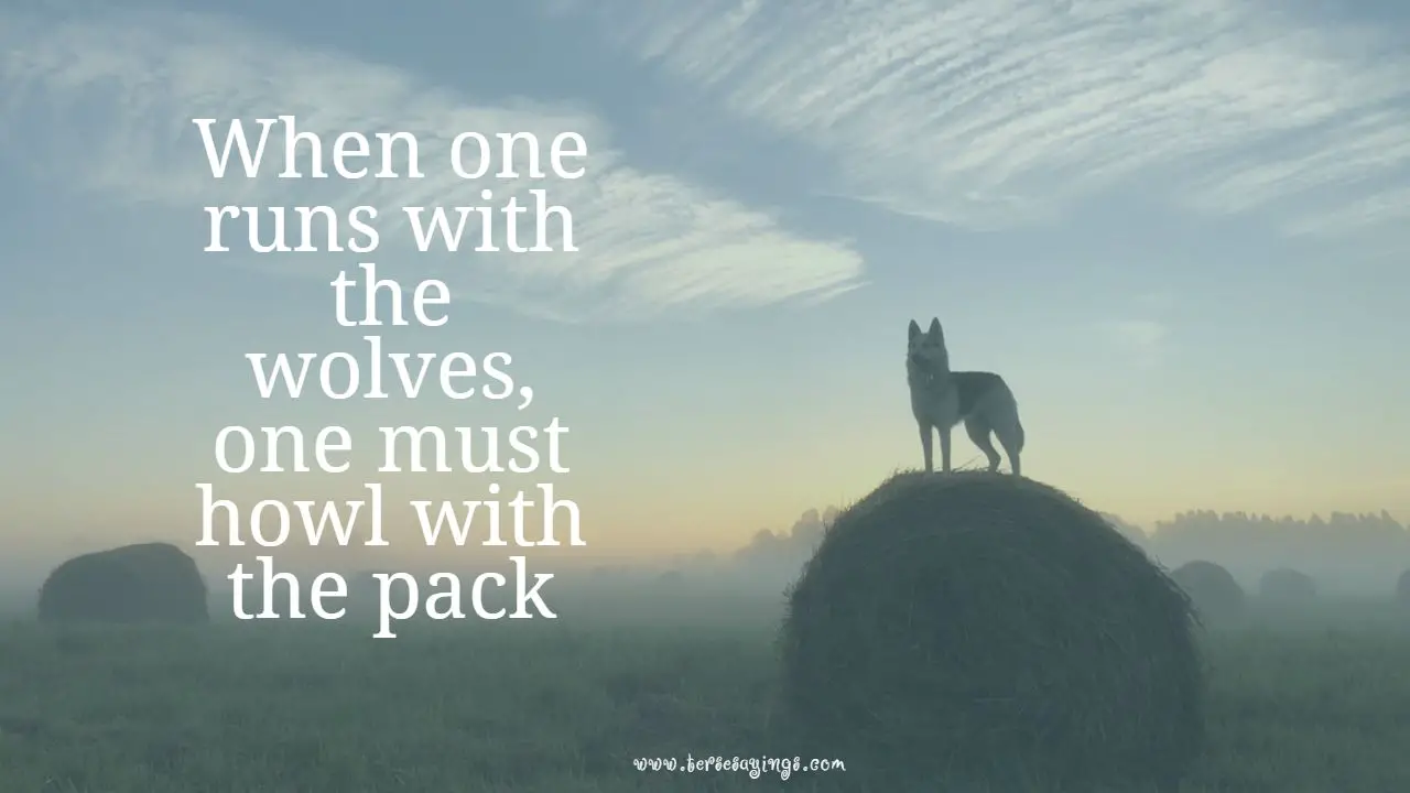 lone_wolf_short_quotes