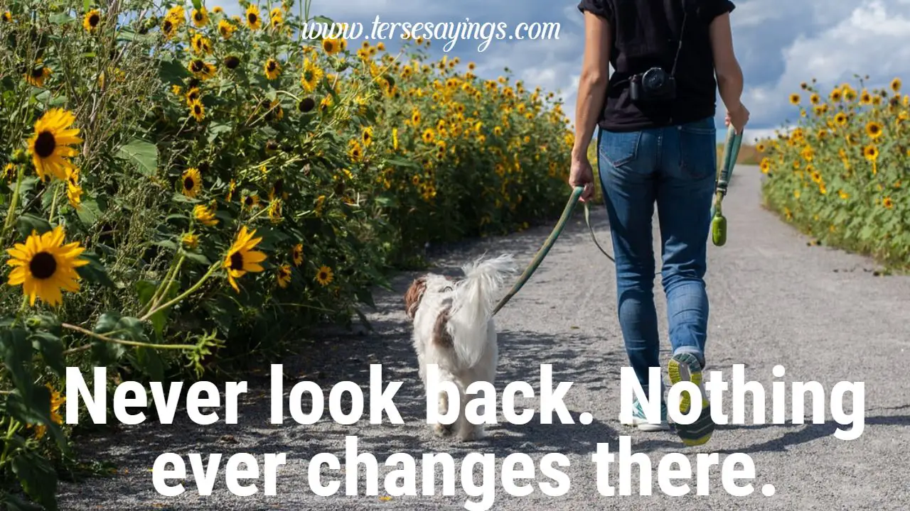 Motivational Don't Look Back Quotes
