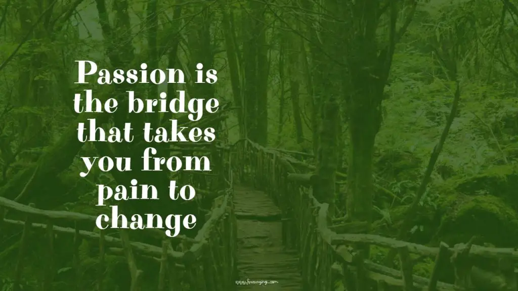 Top 100 + Bridge Quotes to Help inspire You to Know Your Life Journey