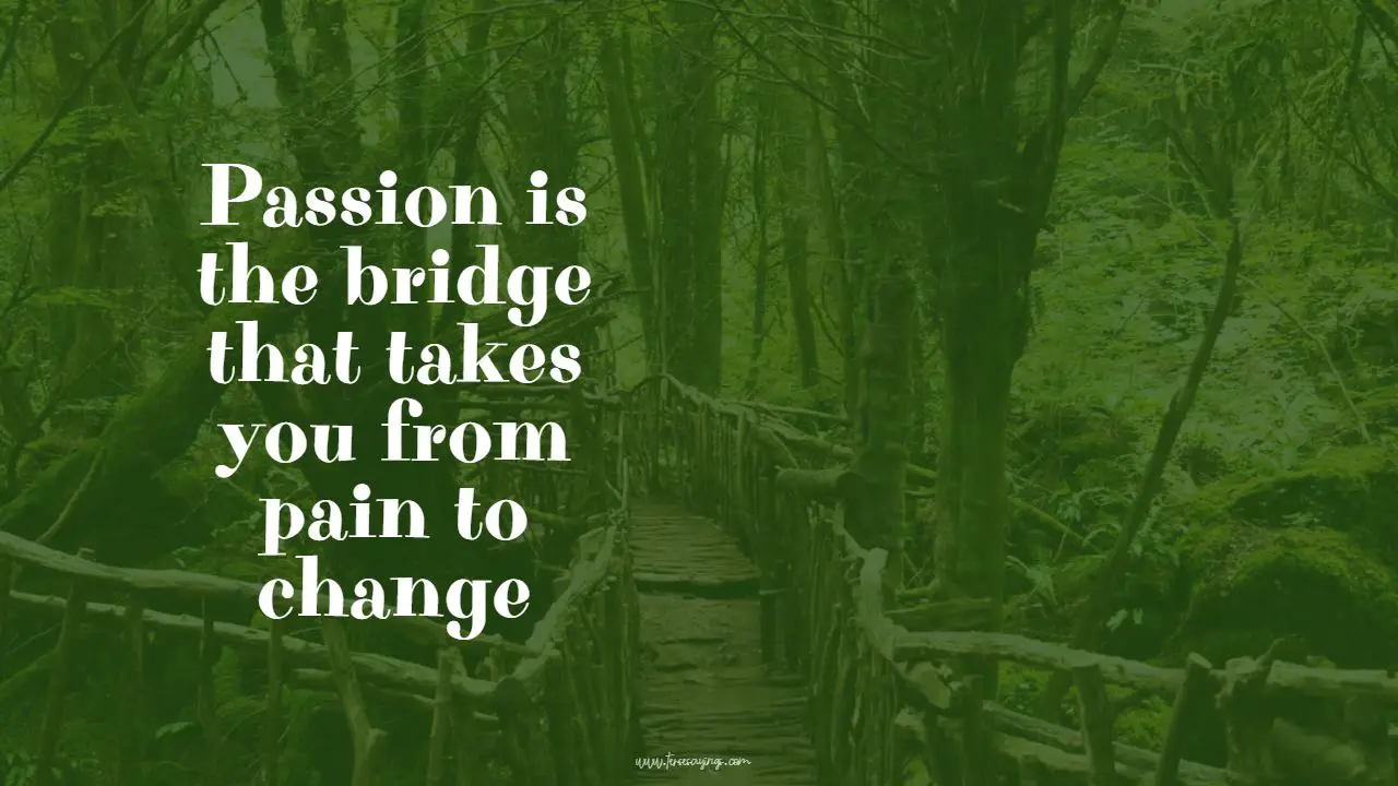 nature_bridge_quotes