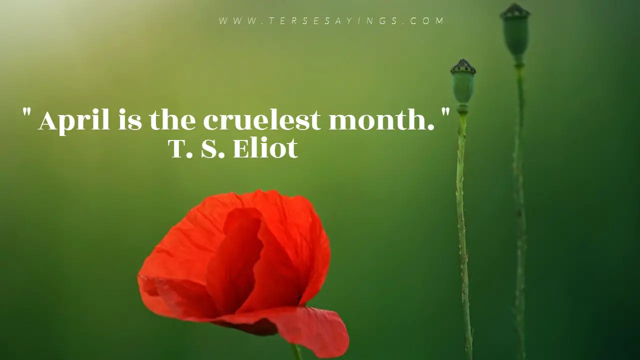 The month of May Quotes Funny