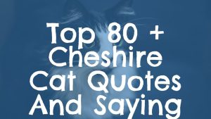 Top 80 + Cheshire Cat Quotes And Saying
