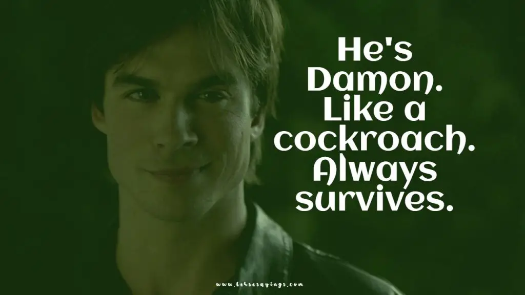 Best 90 + Vampire Diaries Quotes That For every Follower May love