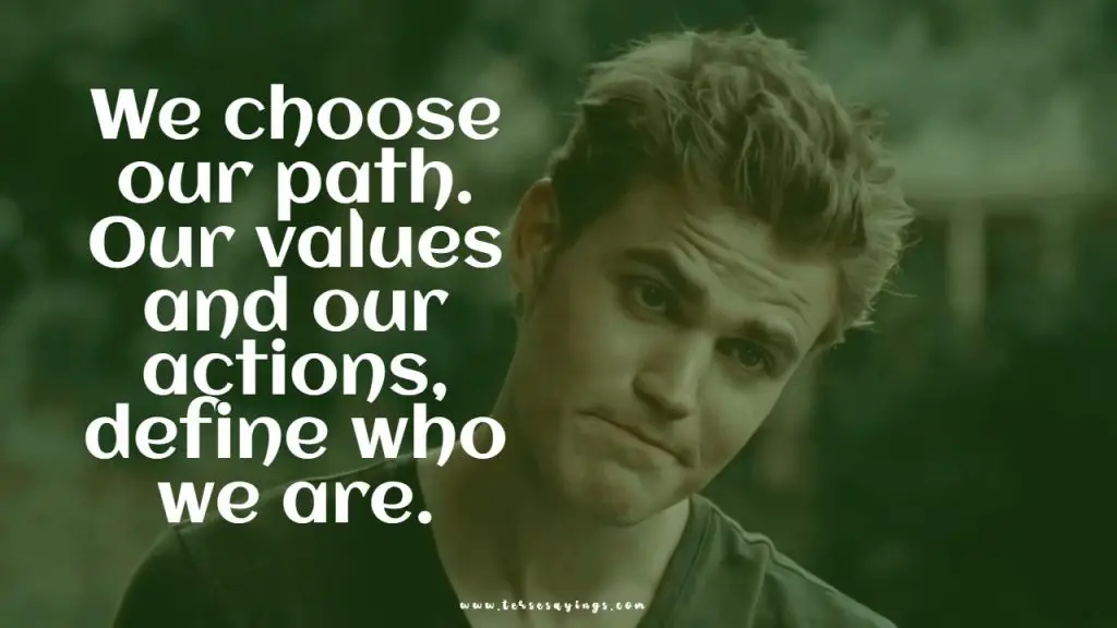 Best 90 + Vampire Diaries Quotes That For every Follower May love