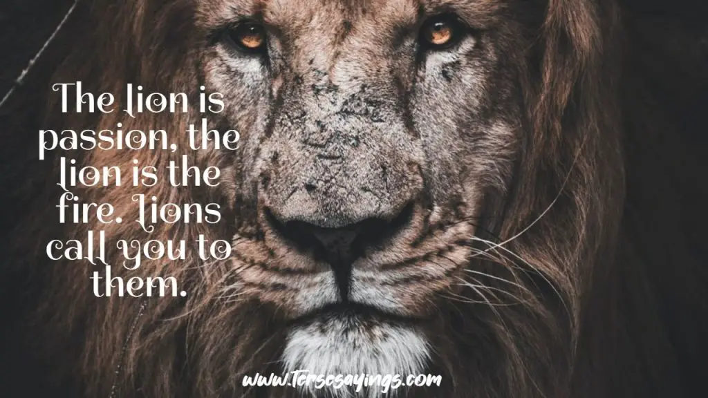 Best 100+ Attitude Powerful Lion Quotes