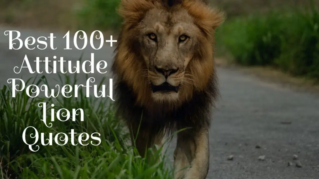 best_100__attitude_powerful_lion_quotes