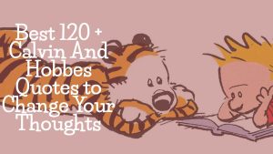 Best 120 + Calvin And Hobbes Quotes to Change Your Thoughts