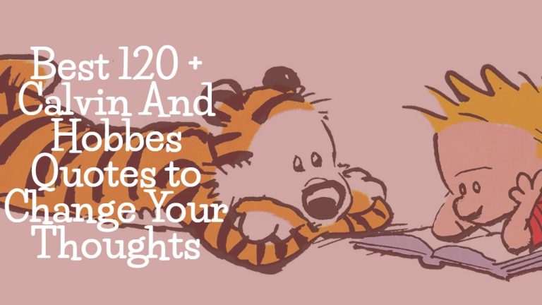 Best 120 Calvin And Hobbes Quotes To Change Your Thoughts Best 120 Calvin And Hobbes Quotes To Change Your Thoughts