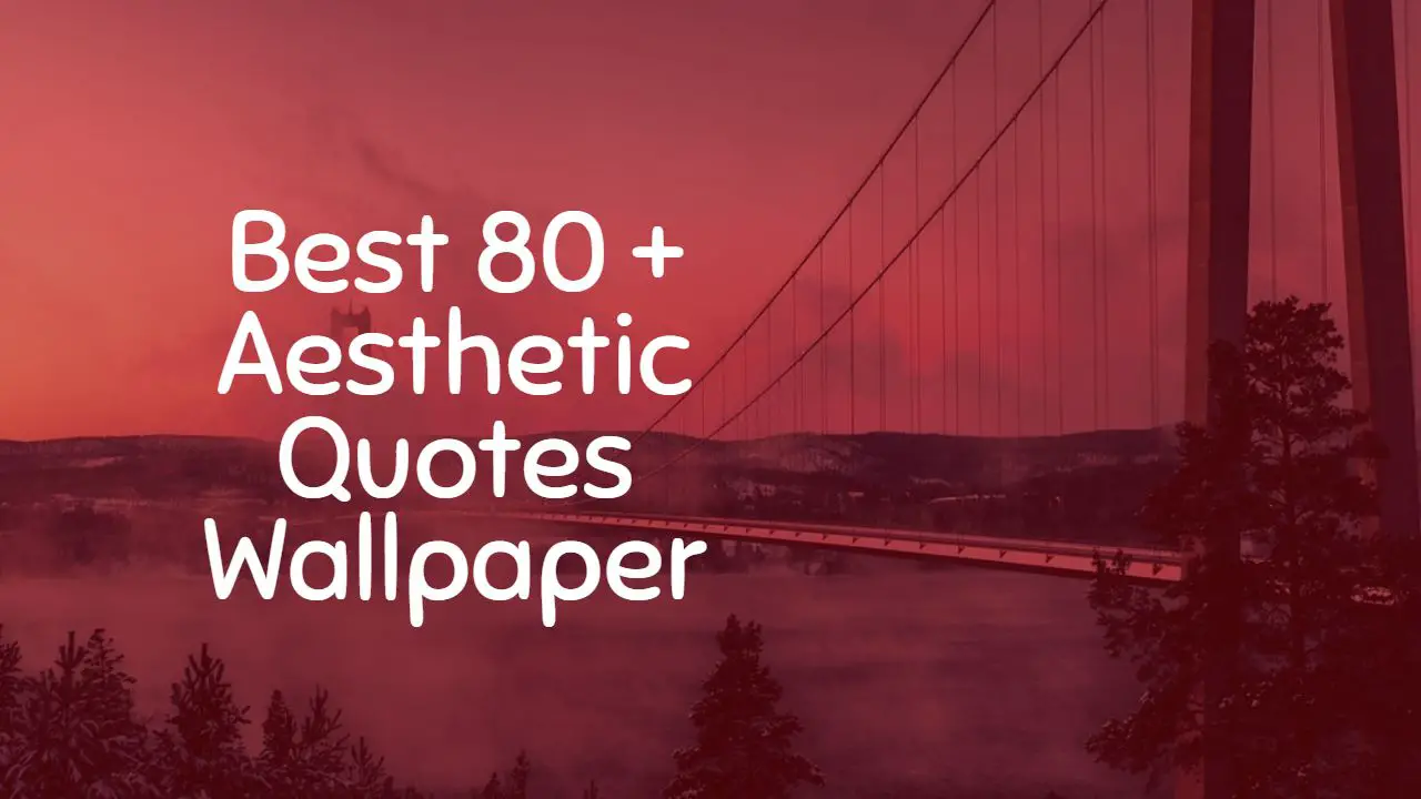 best_80___aesthetic_quotes_wallpaper