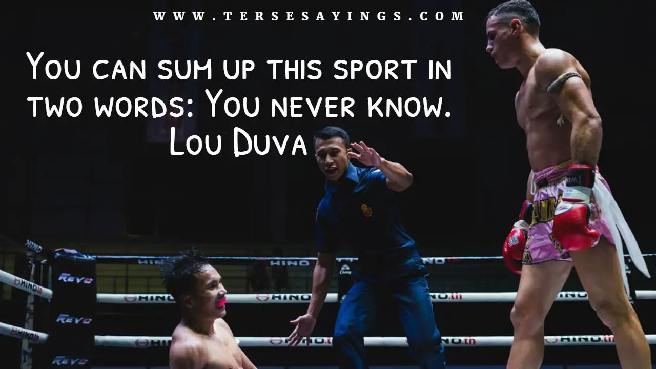 Boxing Quotes Funny