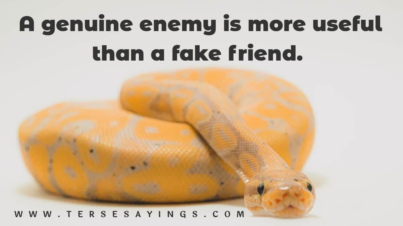 Fake Friends Snake Quotes