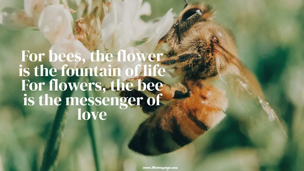 flower_and_bee_quotes