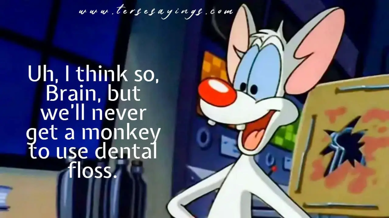 funny_pinky_and_the_brain_quotes