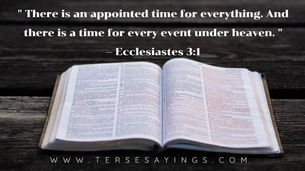 God’s Timing Quotes