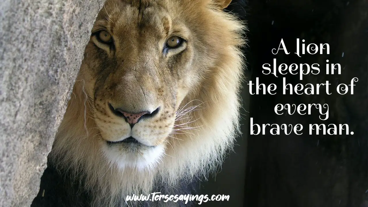 heart_of_a_lion_quotes