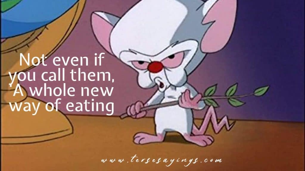 Pinky and the Brain Quotes