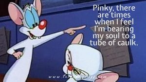 Pinky and the Brain Quotes
