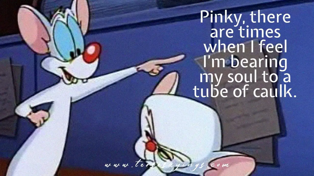 pinky_and_the_brain_quotes_narf