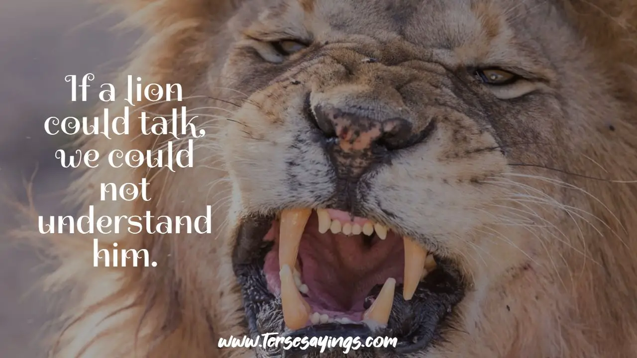 roar_of_the_lion_quotes