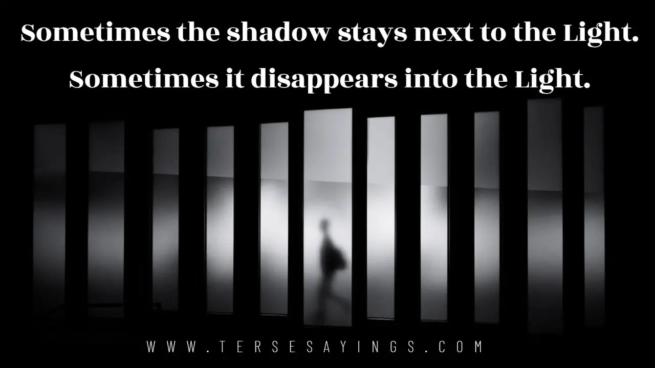 Shadow Quotes Rumi