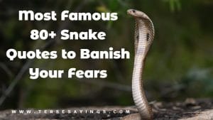 Most Famous 80+ Snake Quotes to Banish Your Fears