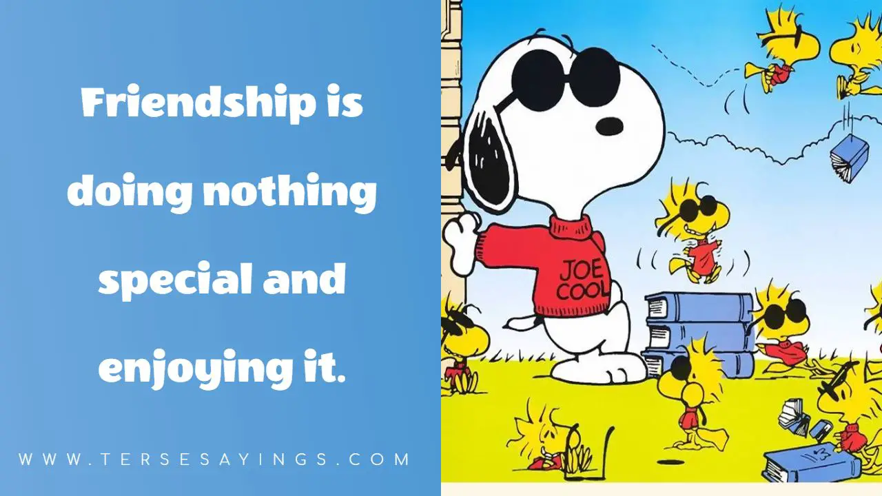 Snoopy Quotes, Friendship