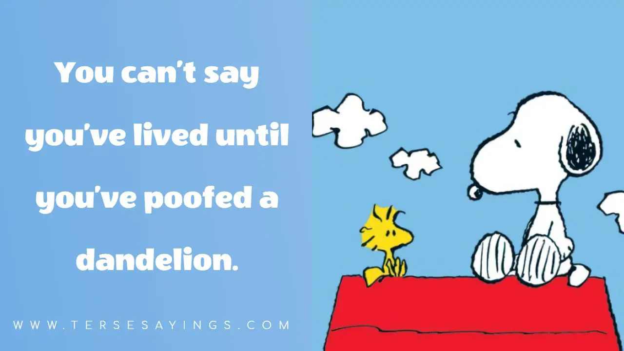 snoopy quotes on love