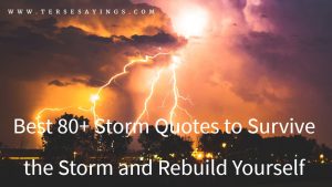 Best 80+ Storm Quotes to Survive the Storm and Rebuild Yourself