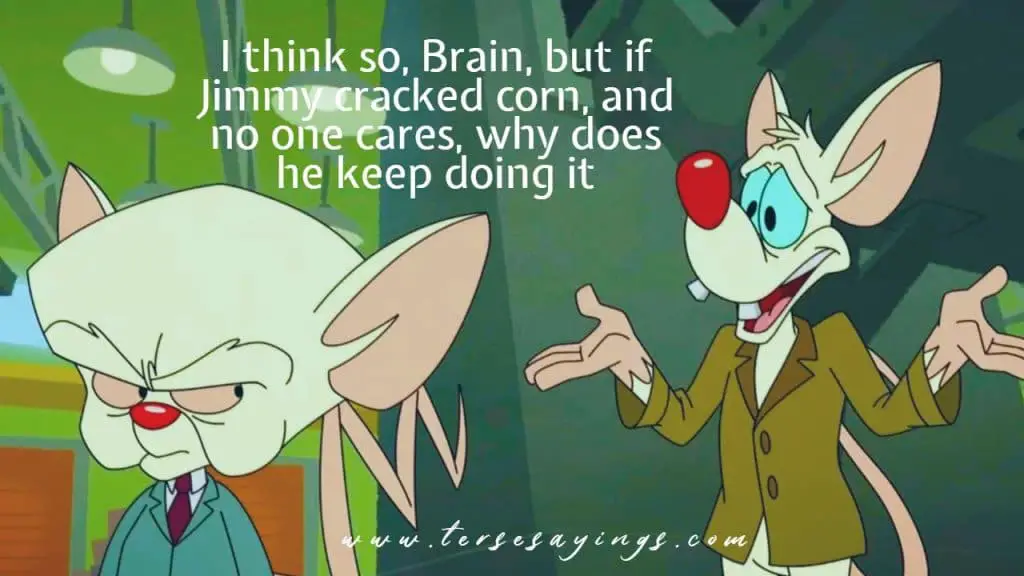 Pinky and the Brain Quotes - Pinky And The Brain Taking Over The World