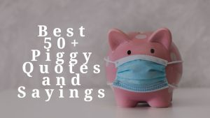 Best 50+ Piggy Quotes and Sayings