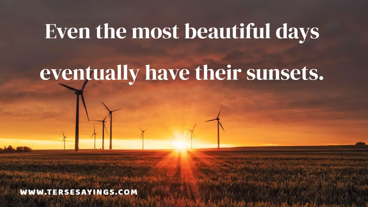 Best Beautiful Day Quotes