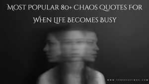 Most Popular 80+ Chaos Quotes For When Life Becomes Busy
