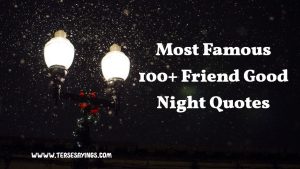Most Famous 100+ Friend Good Night Quotes