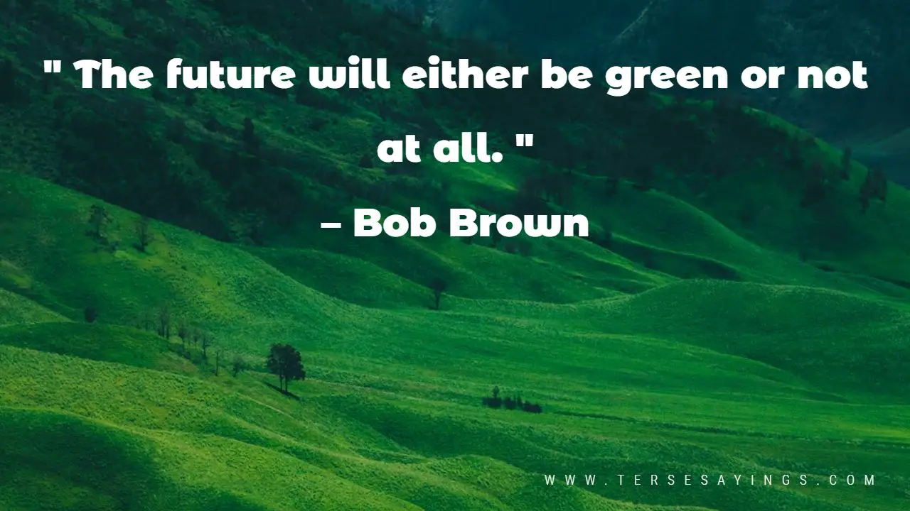 Green Aesthetic Quotes