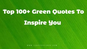 Top 100+ Green Quotes To Inspire You