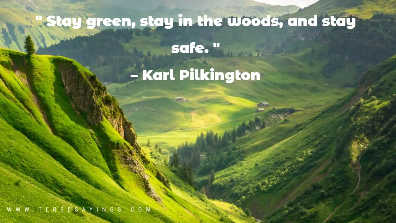 Green Quotes about Life