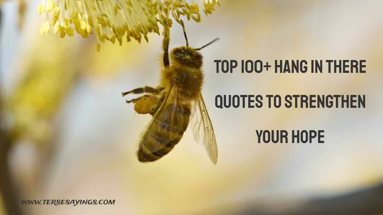 Hang In There Quotes