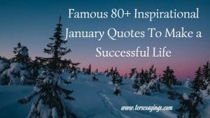 Famous 80+ Inspirational January Quotes To Make a Successful Life