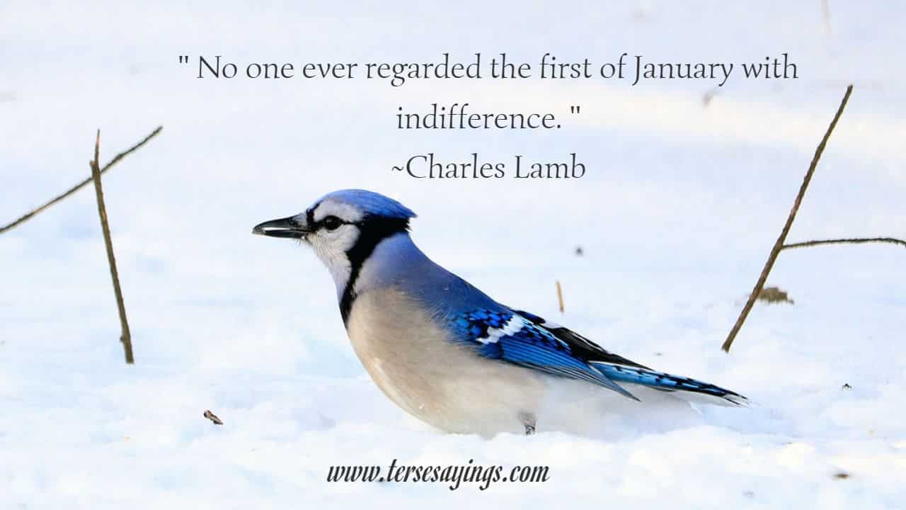 January Quotes Funny