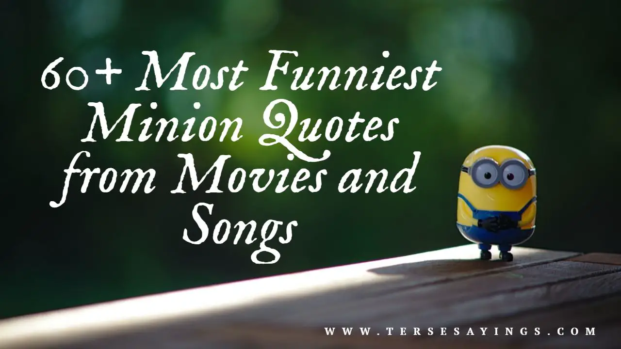 60+ Most Funniest Minion Quotes from Movies and Songs