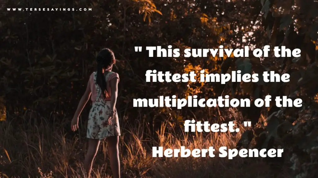 Survival Quotes, Motivational Survival Quotes