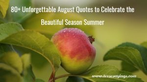 80+ Unforgettable August Quotes to Celebrate the Beautiful Season Summer