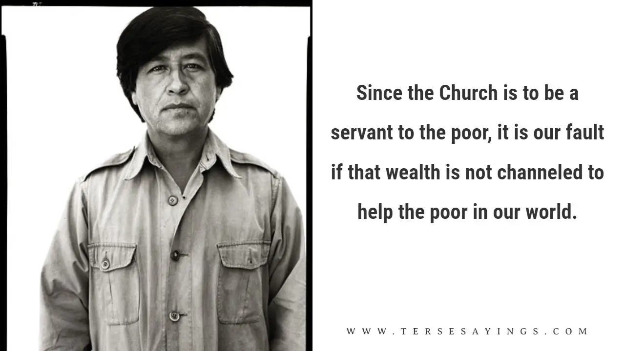 Cesar Chavez Quotes Education